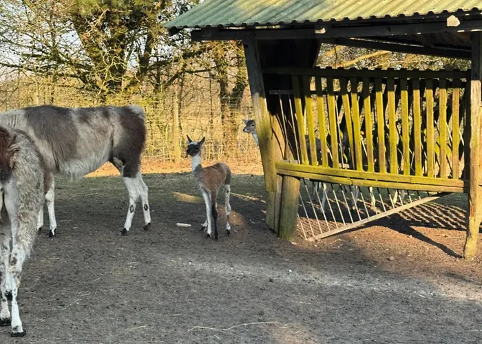 Billund Farm Holiday