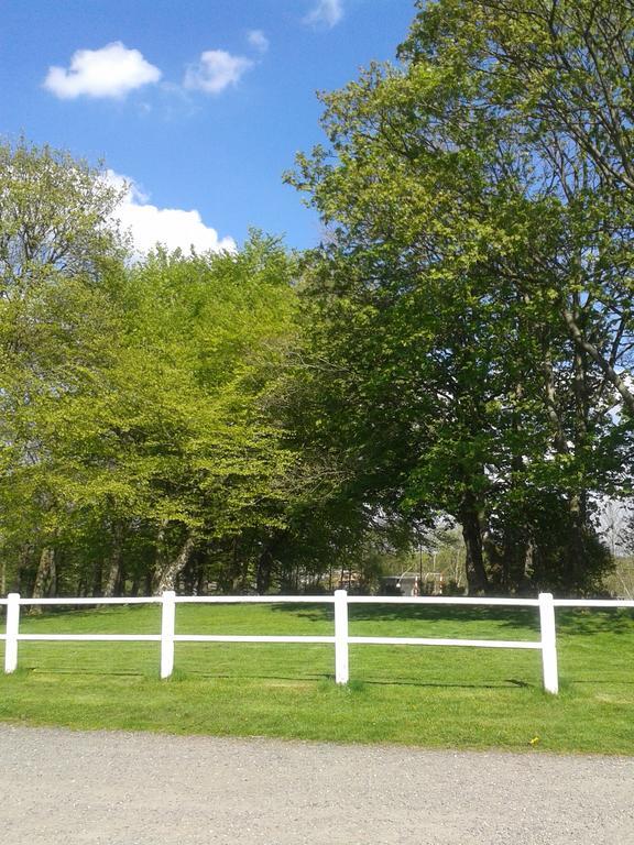 Farm * Billund