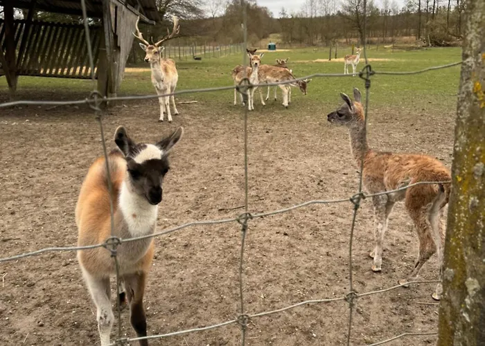 Billund Farm Holiday