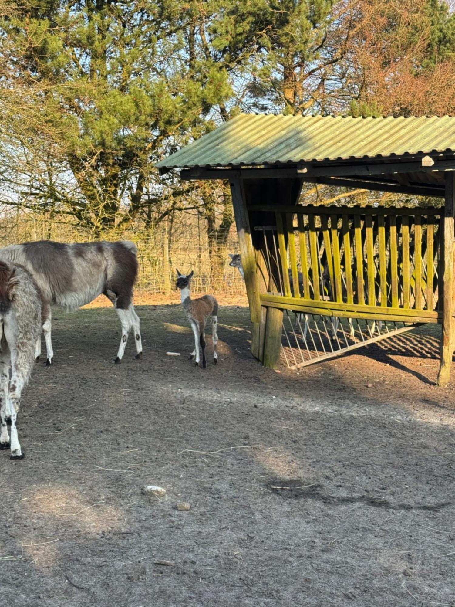 Farm Billund